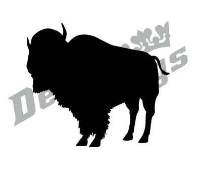 Bison