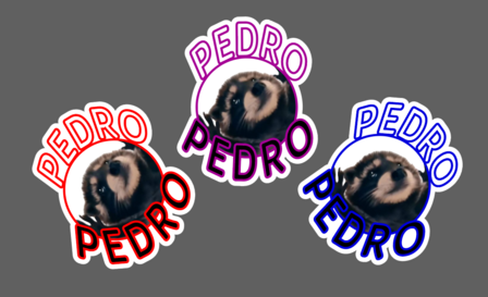 Pedro sticker