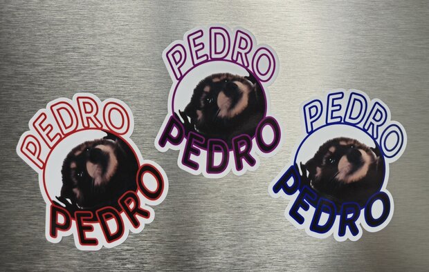 Pedro sticker